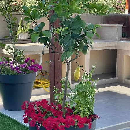 Luxury Brijuni Valbandon