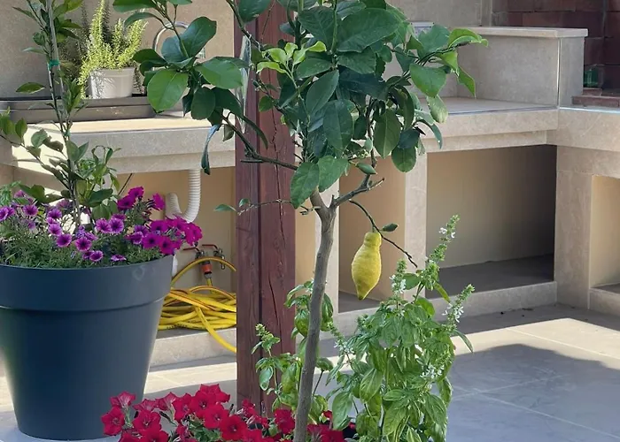 Luxury Brijuni Valbandon